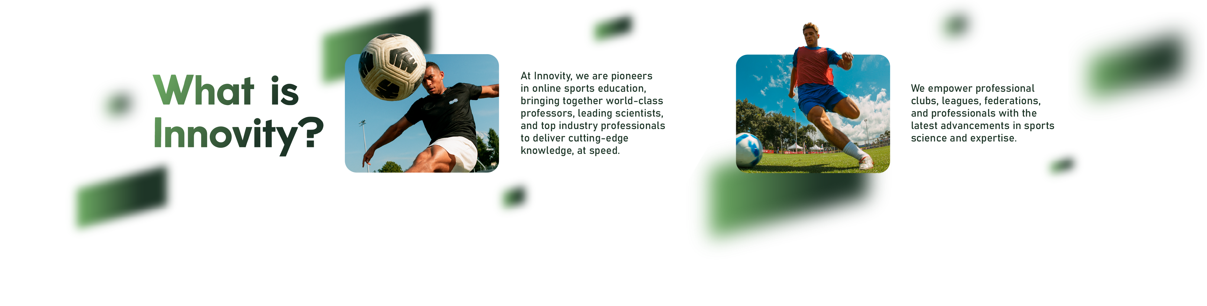 Image what is section